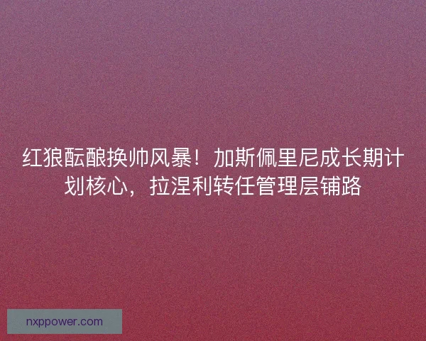 红狼酝酿换帅风暴！加斯佩里尼成长期计划核心，拉涅利转任管理层铺路