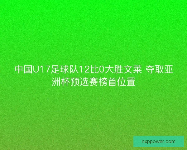 中国U17足球队12比0大胜文莱 夺取亚洲杯预选赛榜首位置