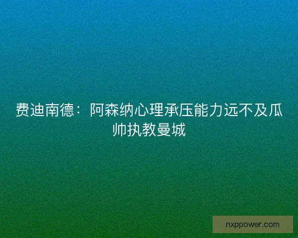 费迪南德：阿森纳心理承压能力远不及瓜帅执教曼城