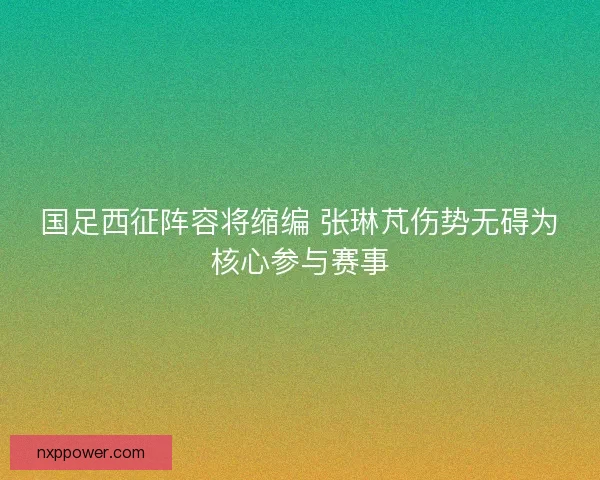 国足西征阵容将缩编 张琳芃伤势无碍为核心参与赛事